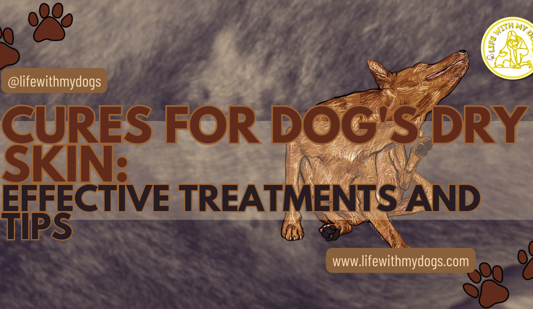 Cures for Dog’s Dry Skin: Effective Treatments and Tips