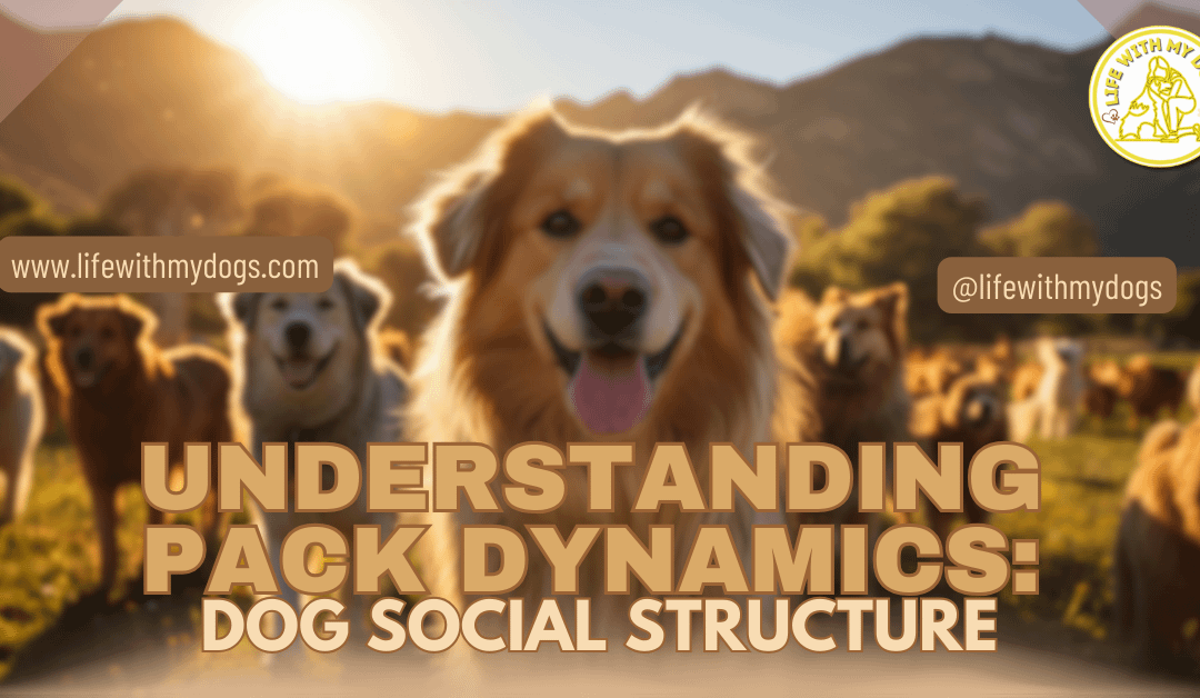 Understanding Pack Dynamics: Dog Social Structure