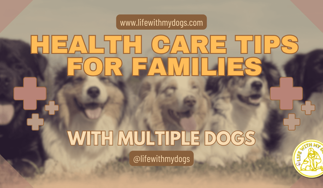 Health Care Tips For Families With Multiple Dogs