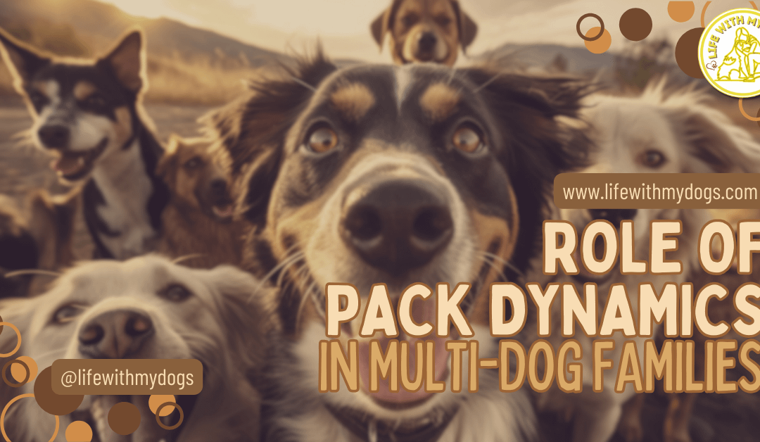 Role of Pack Dynamics in Multi-Dog Families