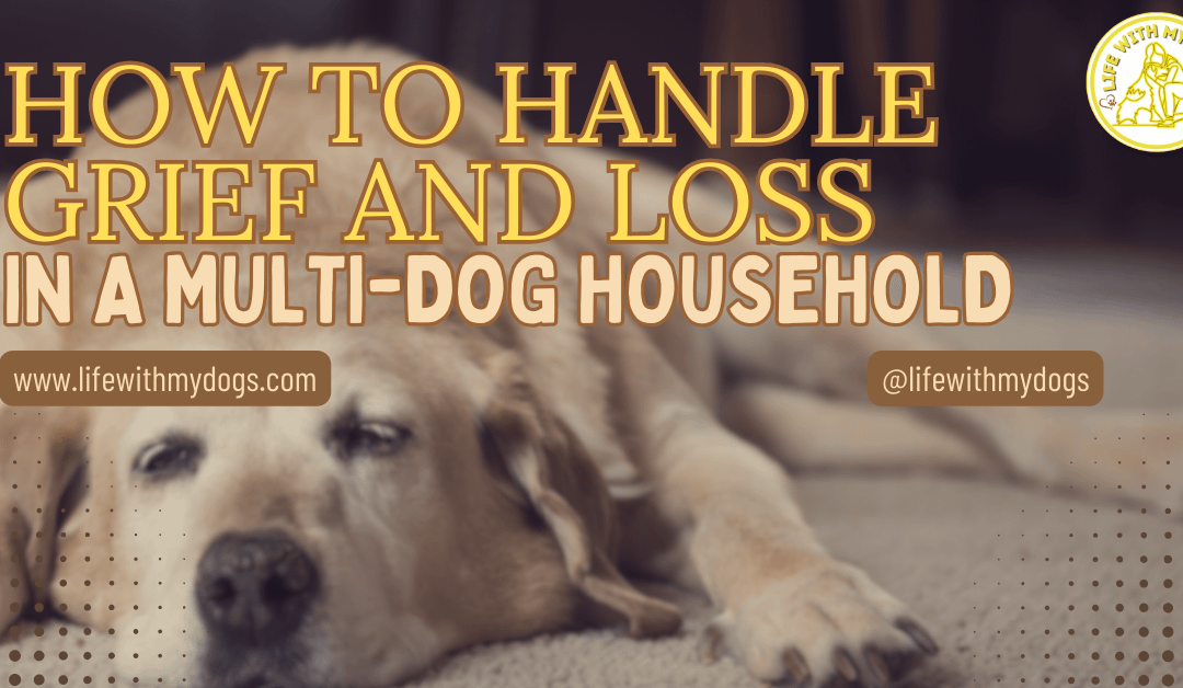 How to Handle Grief and Loss in a Multi-Dog Household
