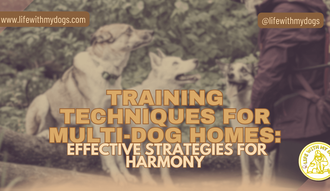 Training Techniques For Multi-Dog Homes: Effective Strategies For Harmony