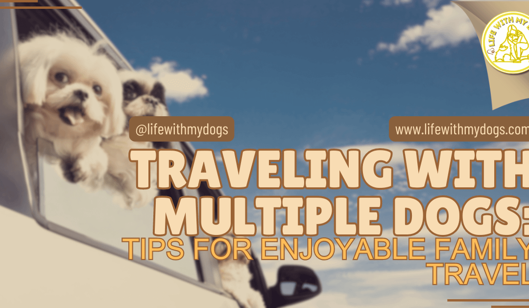 Traveling With Multiple Dogs: Tips For Enjoyable Family Travel