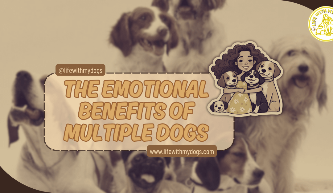 The Emotional Benefits Of Multiple Dogs