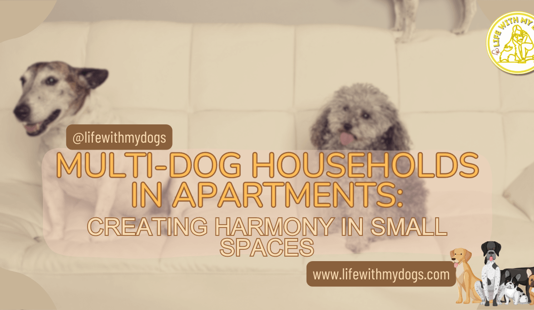 Multi-Dog Households In Apartments: Creating Harmony In Small Spaces