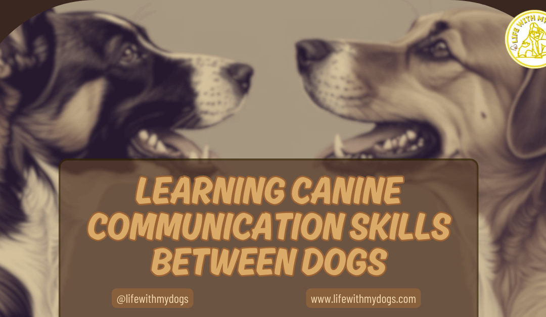 Learning Canine Communication Skills Between Dogs