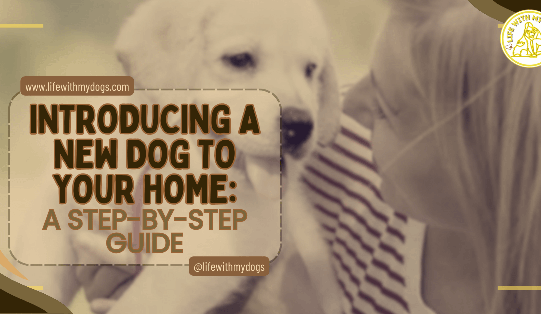 Introducing A New Dog To Your Home: A Step-by-Step Guide
