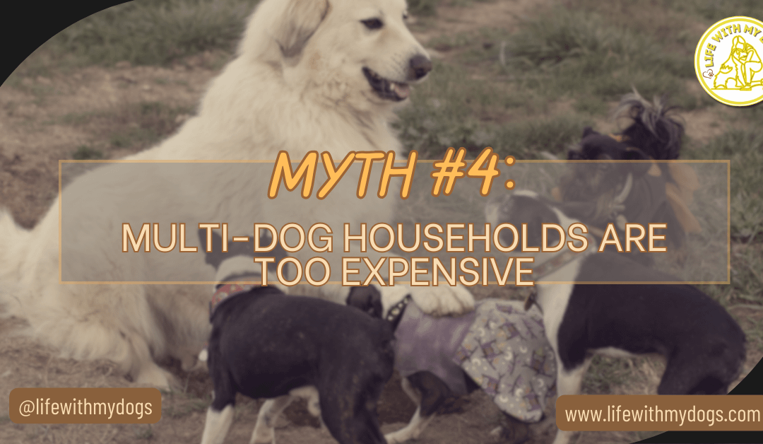 Myth #4: Multi-dog Households Are Too Expensive