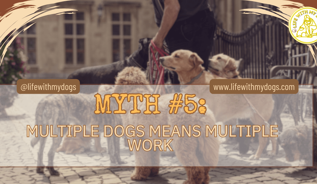 Myth #5: Multiple Dogs Means Multiple Work