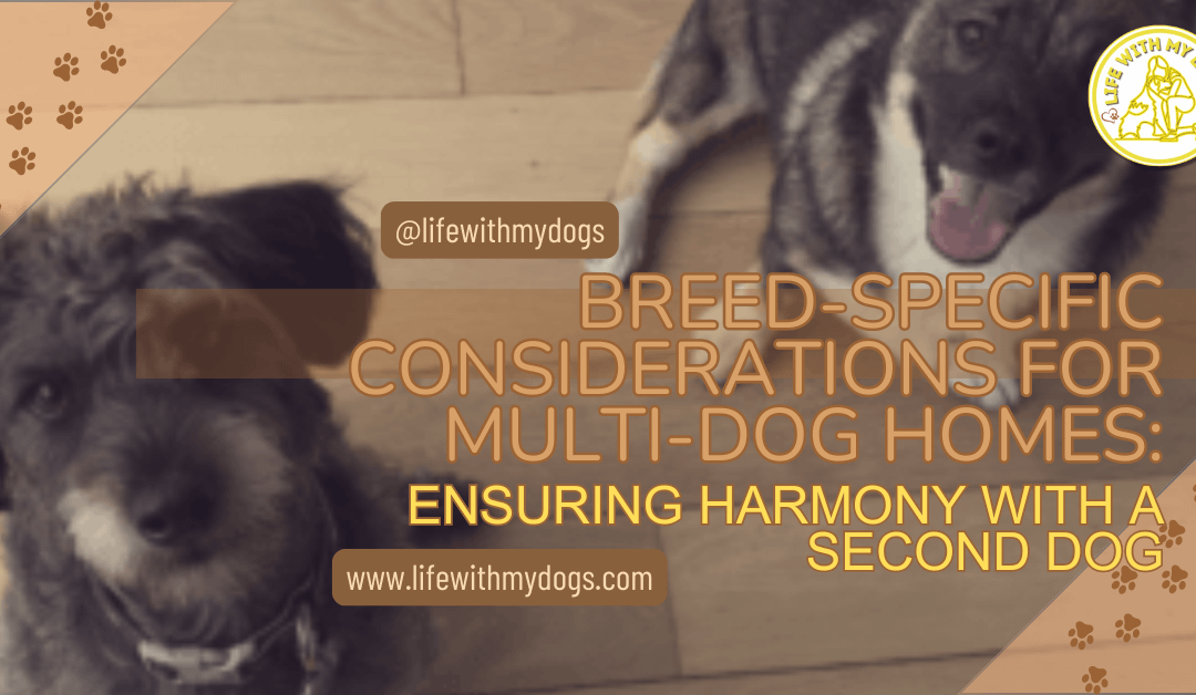 Breed-Specific Considerations for Multi-Dog Homes: Ensuring Harmony with a Second Dog