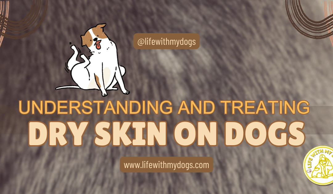 Understanding and Treating Dry Skin on Dogs