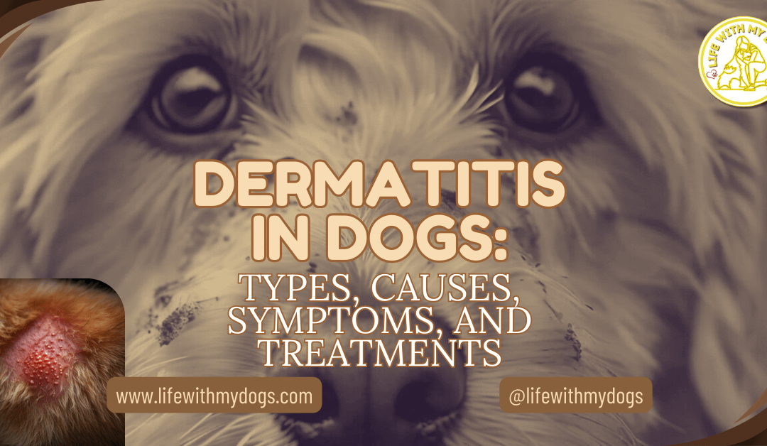 Dermatitis in Dogs: Types, Causes, Symptoms, and Treatments