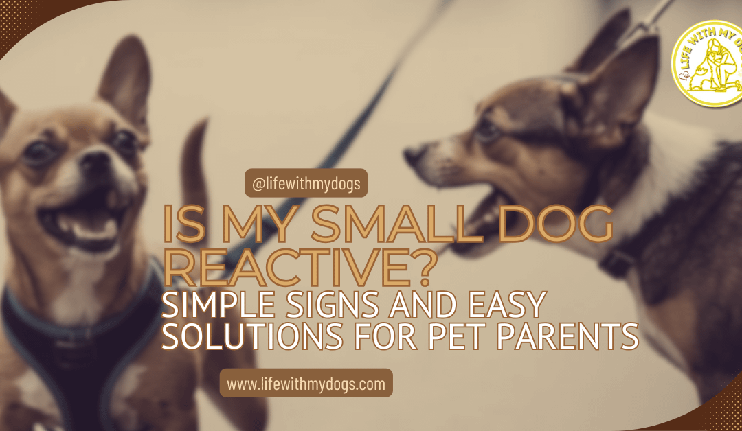 Is My Small Dog Reactive? Simple Signs and Easy Solutions for Pet Parents