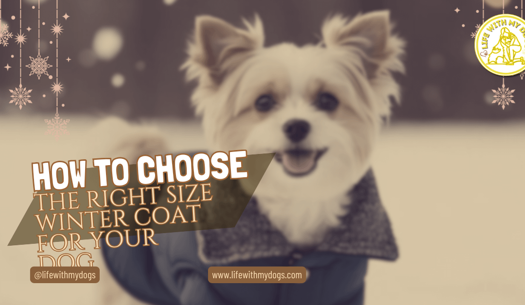 How to Choose the Right Size Winter Coat for Your Dog