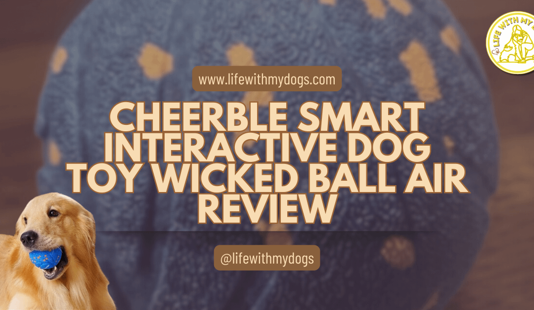 Cheerble Smart Interactive Dog Toy Wicked Ball AIR Review