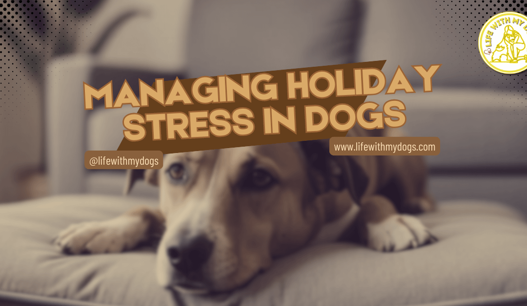 Managing Holiday Stress in Dogs