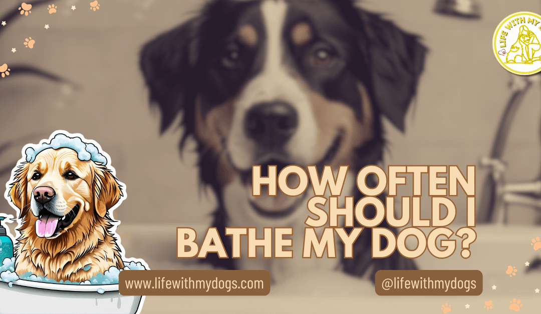 How Often Should I Bathe My Dog