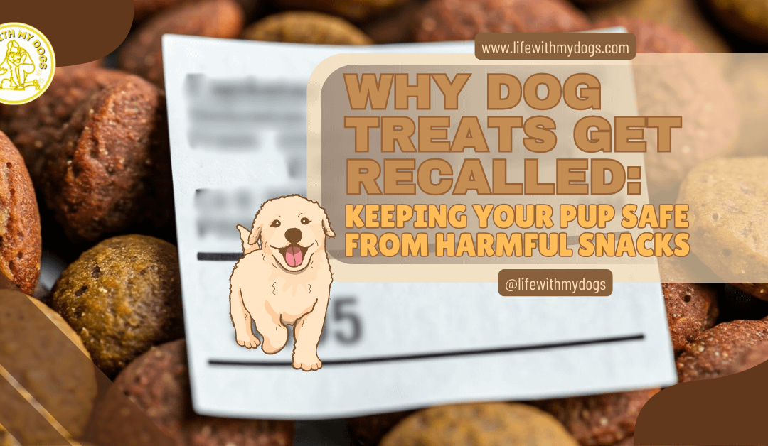 Why Dog Treats Get Recalled: Keeping Your Pup Safe From Harmful Snacks