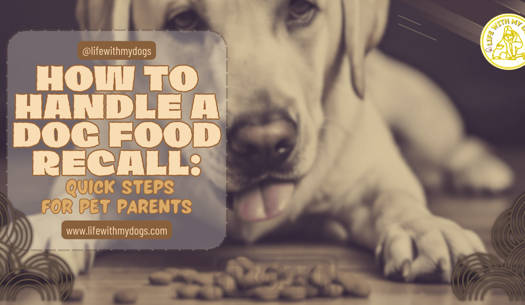 How to Handle a Dog Food Recall: Quick Steps for Pet Parents