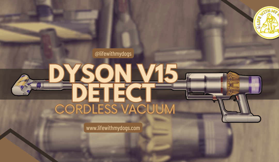 Dyson V15 Detect Cordless Vacuum Review