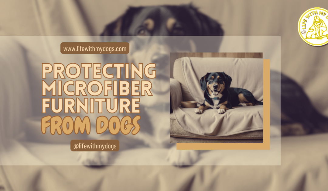 Protecting Microfiber Furniture from Dogs