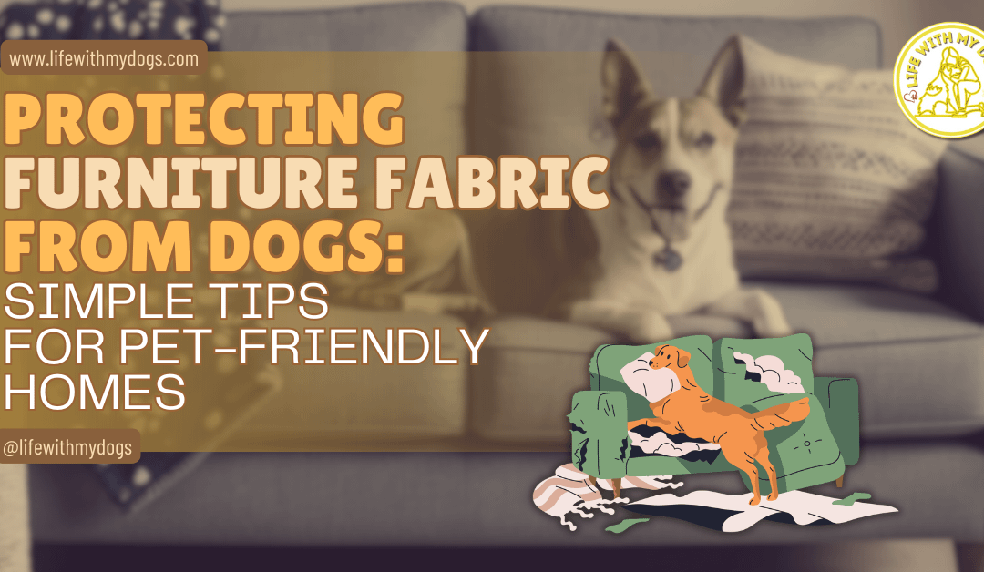 Protecting Furniture Fabric from Dogs: Simple Tips for Pet-Friendly Homes