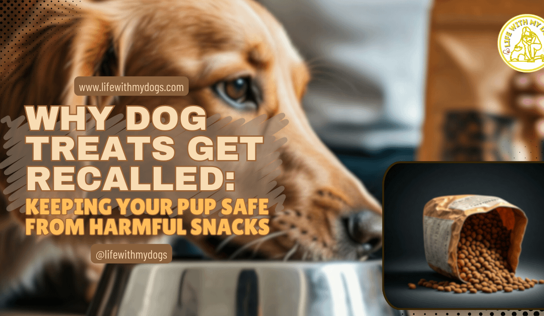 Why Dog Food Recalls Happen: Safety Tips for Pet Parents