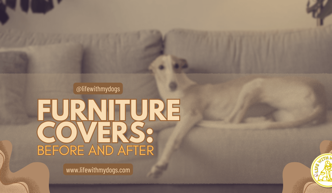 Furniture Covers: Before and After