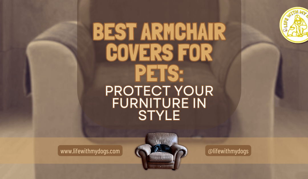 Best Armchair Covers for Pets: Protect Your Furniture in Style