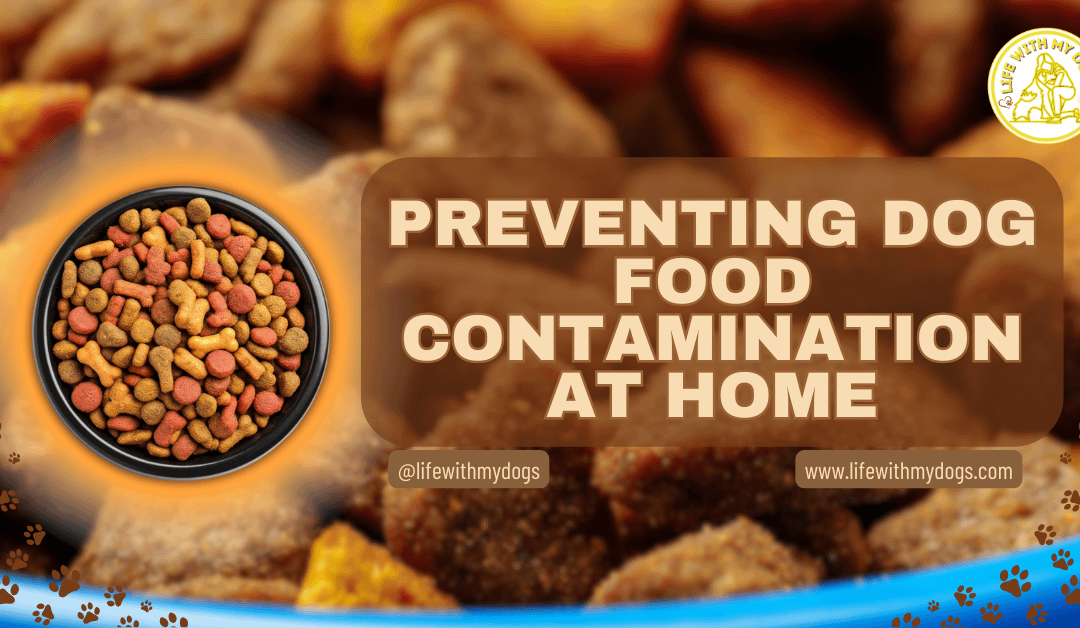 Preventing Dog Food Contamination at Home