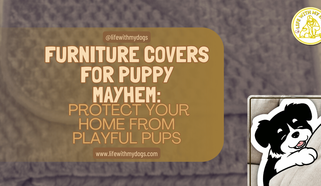 Furniture Covers for Puppy Mayhem: Protect Your Home from Playful Pups