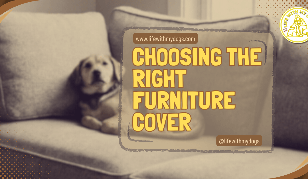 Choosing the Right Furniture Cover