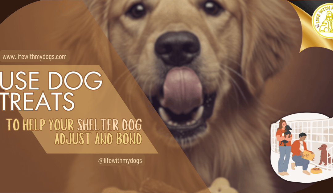 Use Dog Treats to Help Your Shelter Dog Adjust and Bond