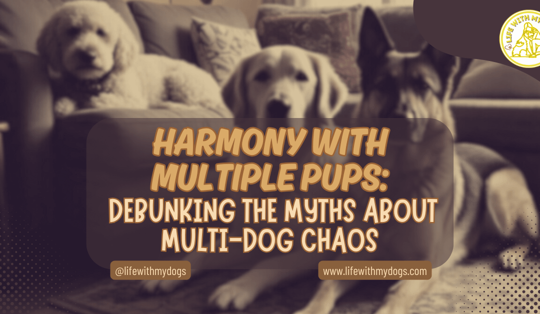 Harmony with Multiple Pups: Debunking The Myths About Multi-Dog Chaos