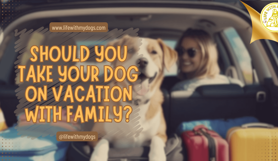 Should You Take Your Dog on Vacation With Family?