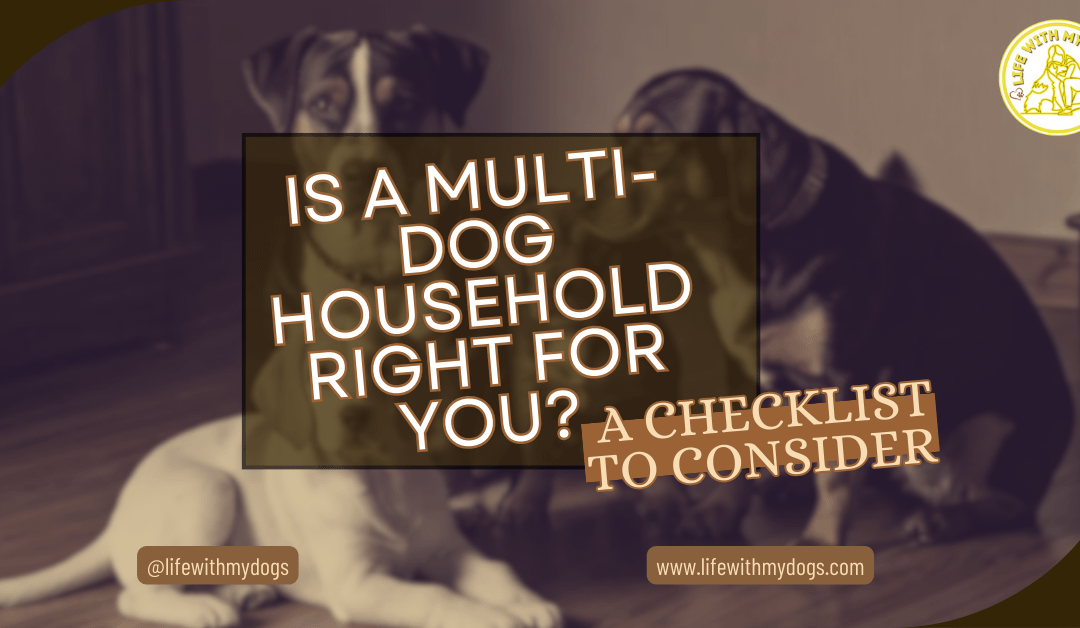 Is A Multi-Dog Household Right For You? A Checklist To Consider