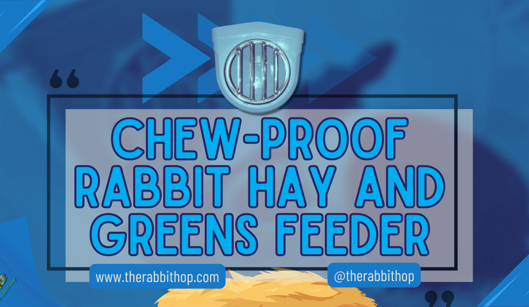 Chew-Proof Rabbit Hay and Greens Feeder