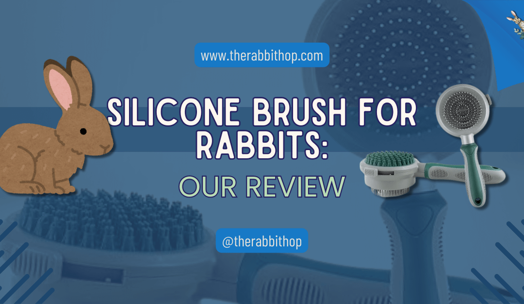 Silicone Brush for Rabbits: Our Review