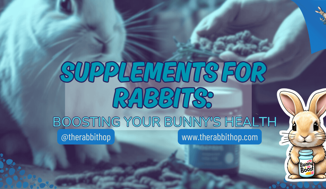 Supplements for Rabbits: Boosting Your Bunny’s Health