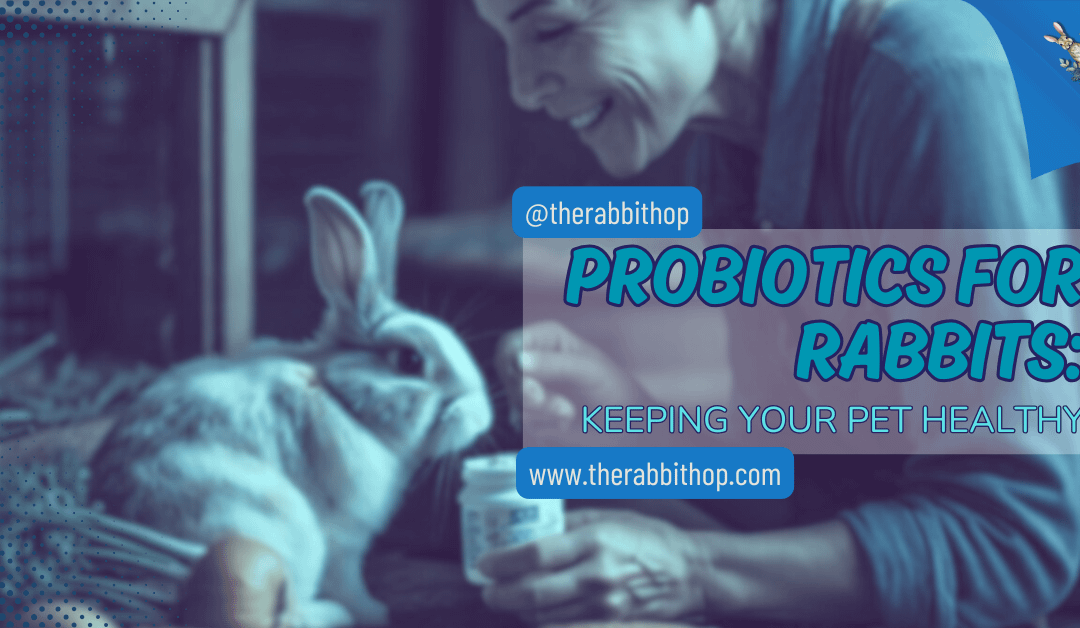 Probiotics for Rabbits: Keeping Your Pet Healthy