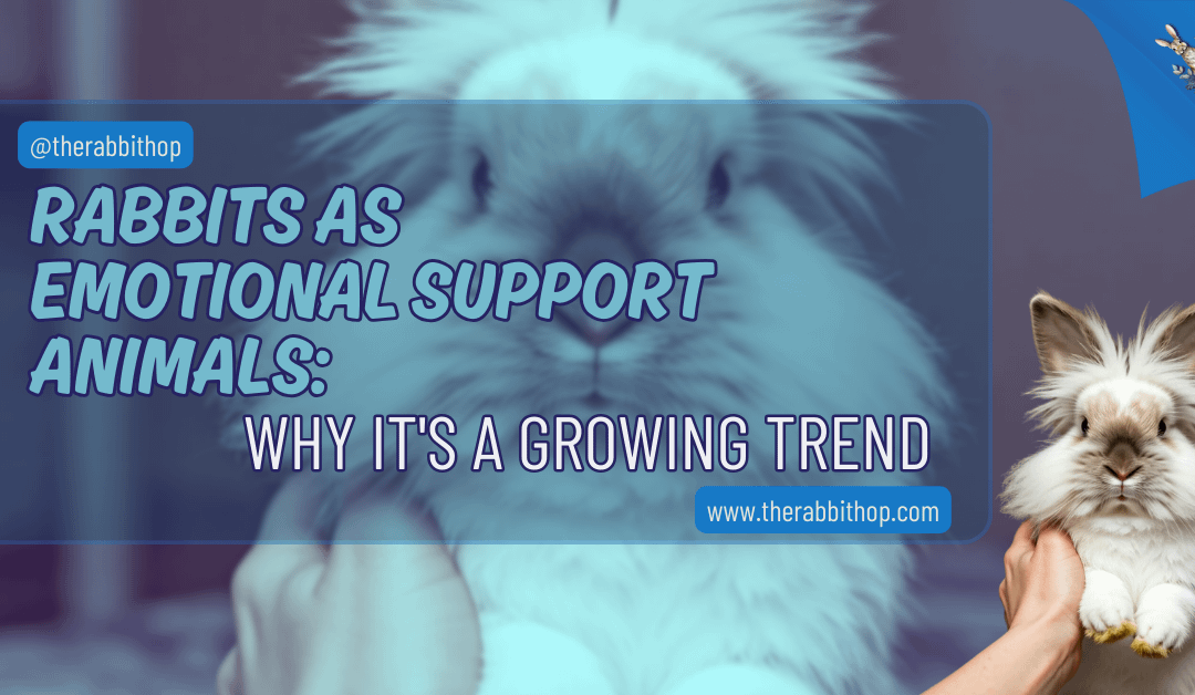 Rabbits As Emotional Support Animals: Why It’s a Growing Trend