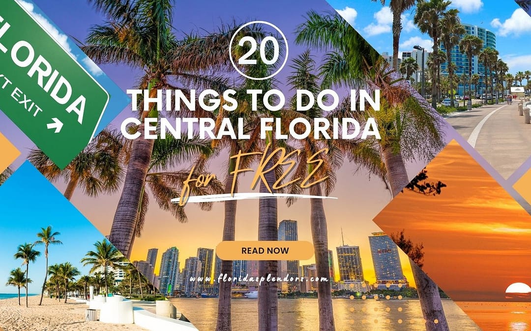 Things To Do in Central Florida for FREE