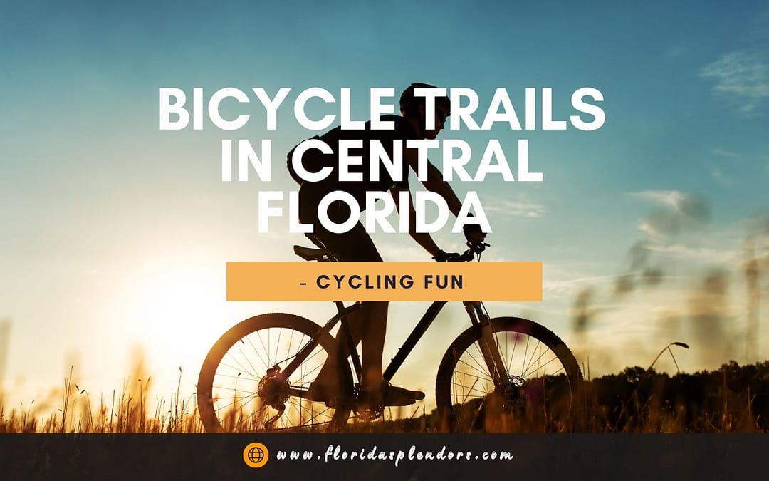 Bicycle Trails in Central Florida - Cycling Fun