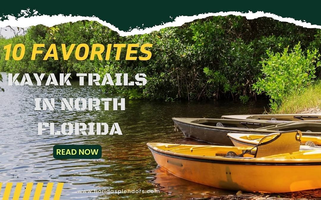 Title-Kayak Trails In North Florida, 10 Favorites