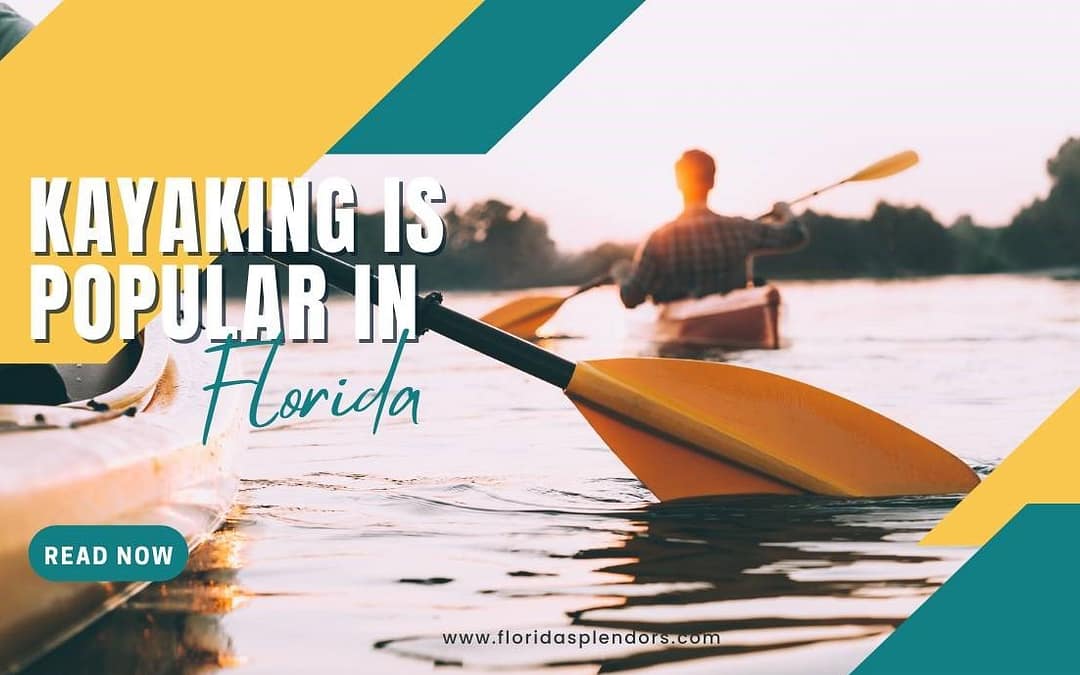 Title-Kayaking Is Popular in Florida