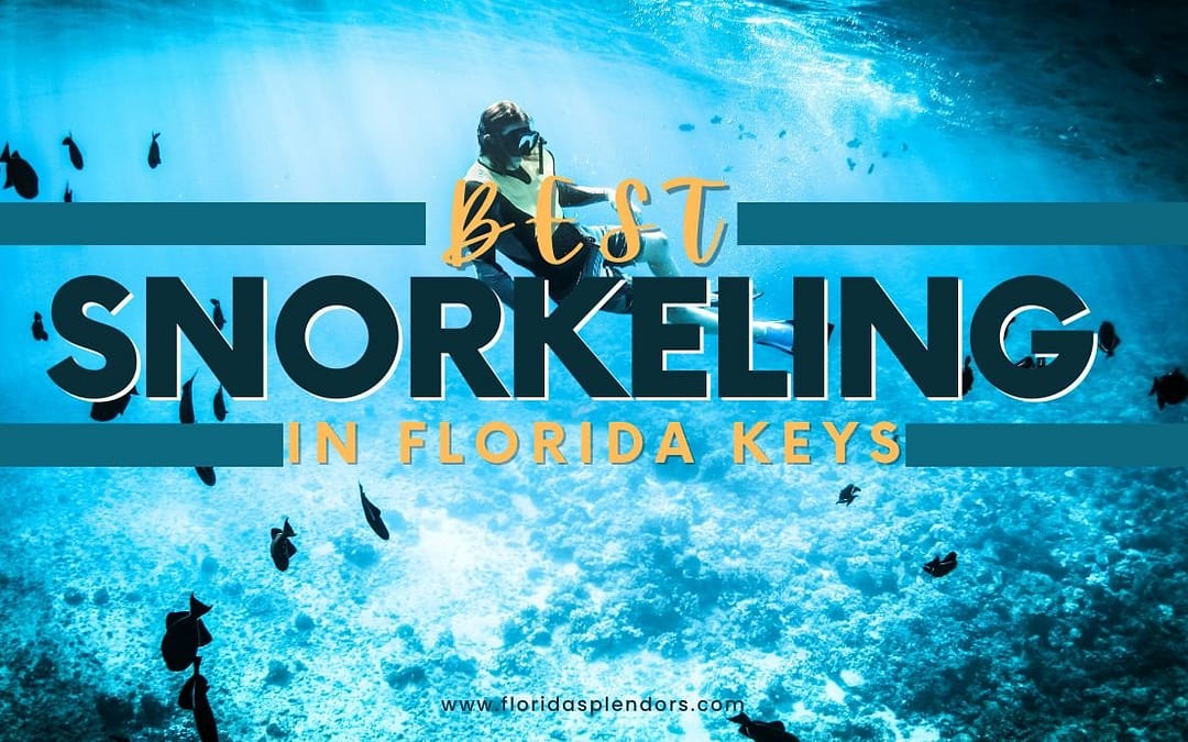 Title-Best Snorkeling in Florida Keys