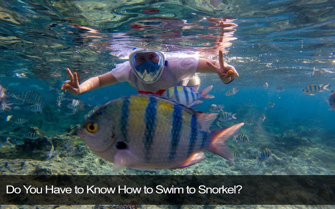 Do You Have to Know How to Swim to Snorkel?