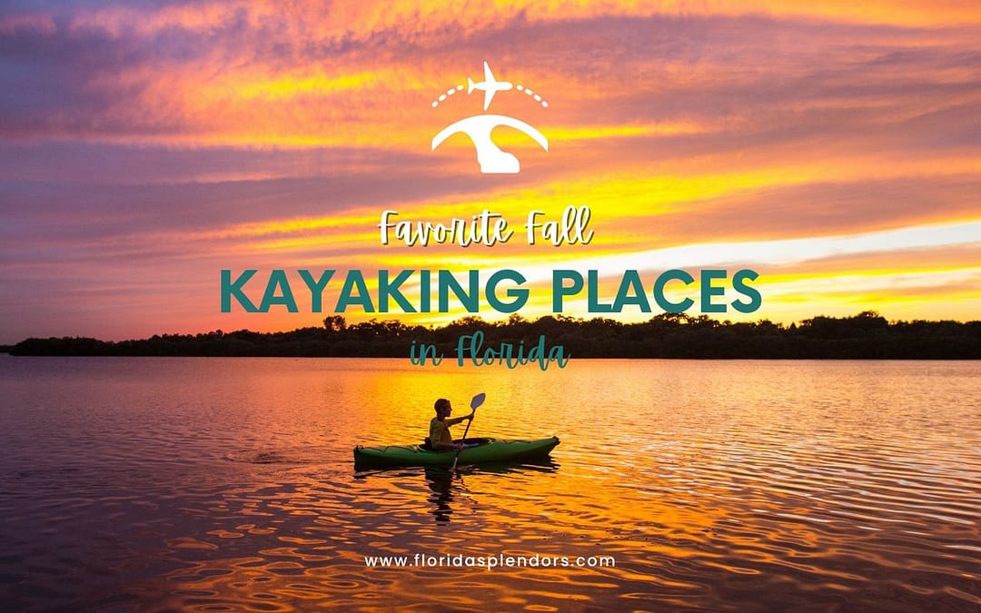 Favorite Fall Kayaking Places in Florida