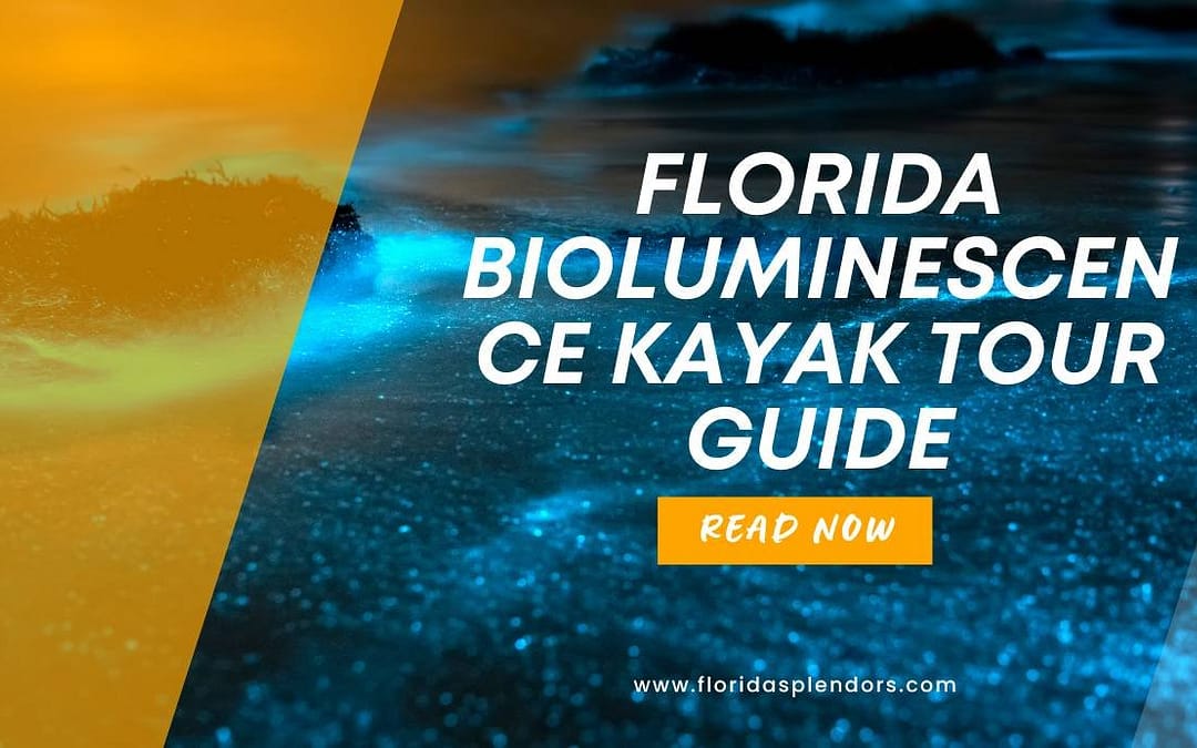 Title-Florida Bioluminescence Kayak Tour Guide