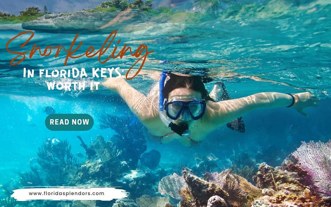 Snorkeling In Florida Keys Worth It